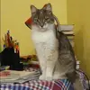 Отзыв от Оксана Шувалова